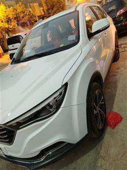 فاو بيستورن X40